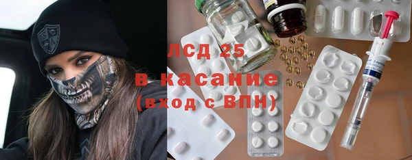 индика Горнозаводск