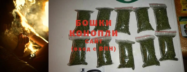 индика Горнозаводск