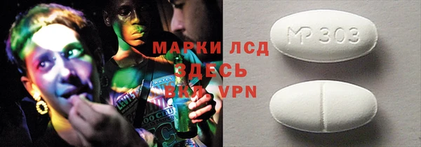 индика Горнозаводск