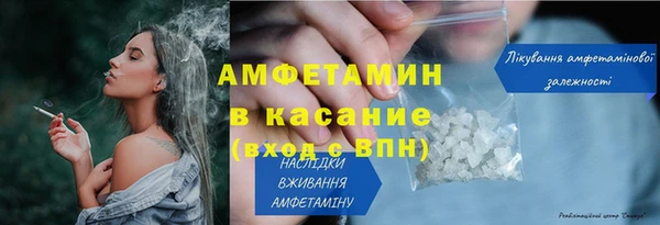 индика Горнозаводск