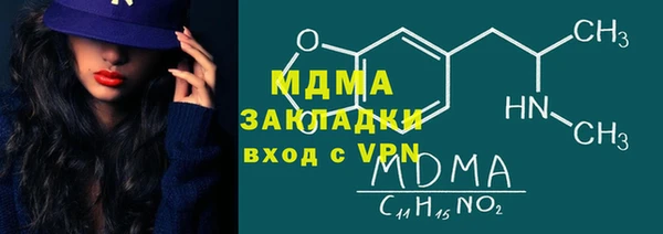 индика Горнозаводск