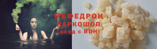 индика Горнозаводск