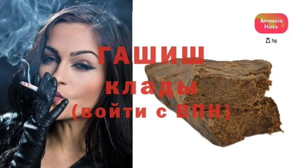 индика Горнозаводск