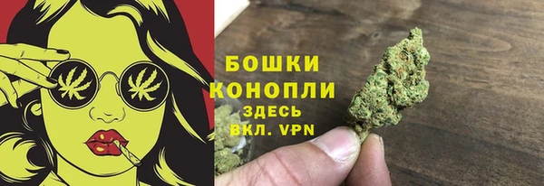 индика Горнозаводск
